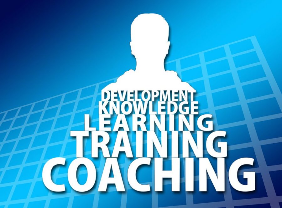 What an opportunity!